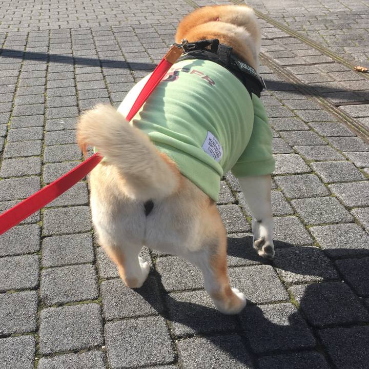 065a1ea9 cf20 4cb1 8173 2dcdc69f75be 1575515491711