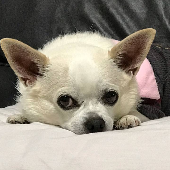 065a2538 6122 4e15 b0e8 ab3d078e5cef 1572613991174