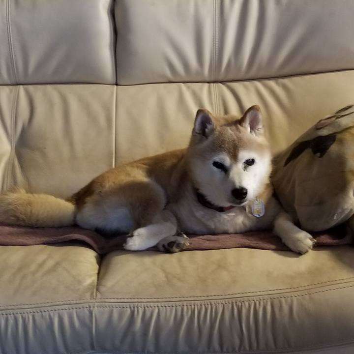 065a5fa2 db2d 4639 8230 180bc426fb2f 1755939024389