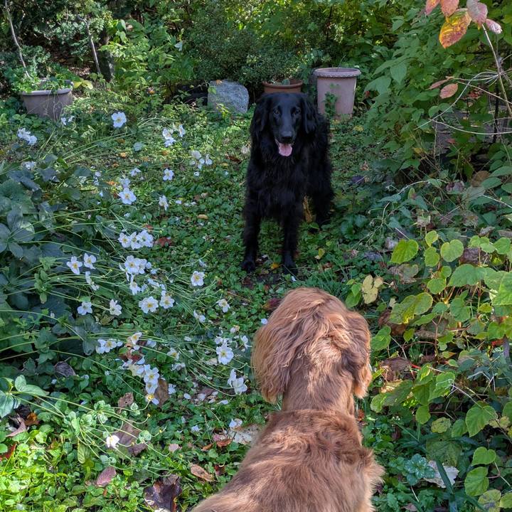 065a77d8 5b91 41f9 9466 946377e72abe 1762424023207