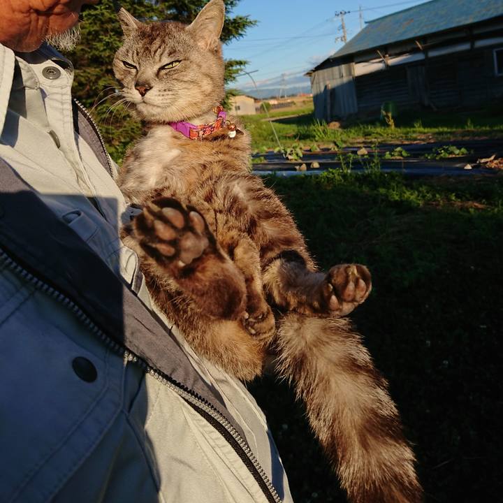 065aa37d 606d 4cef b976 ecd544b7a77a 1592646859030