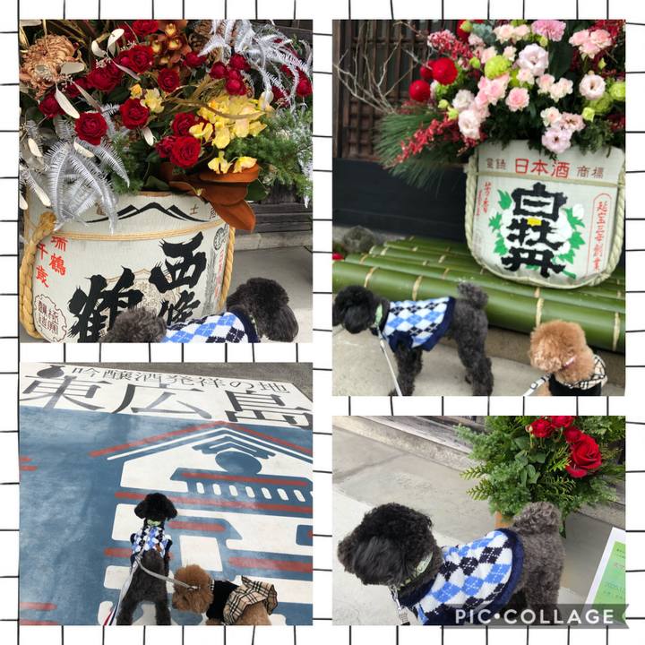 065acc30 6158 497f 89a4 c887eca0172c 1607831294455