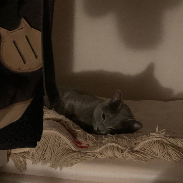 065ad1d7 511e 4ce2 a73c 736664f45f27 1616379244683