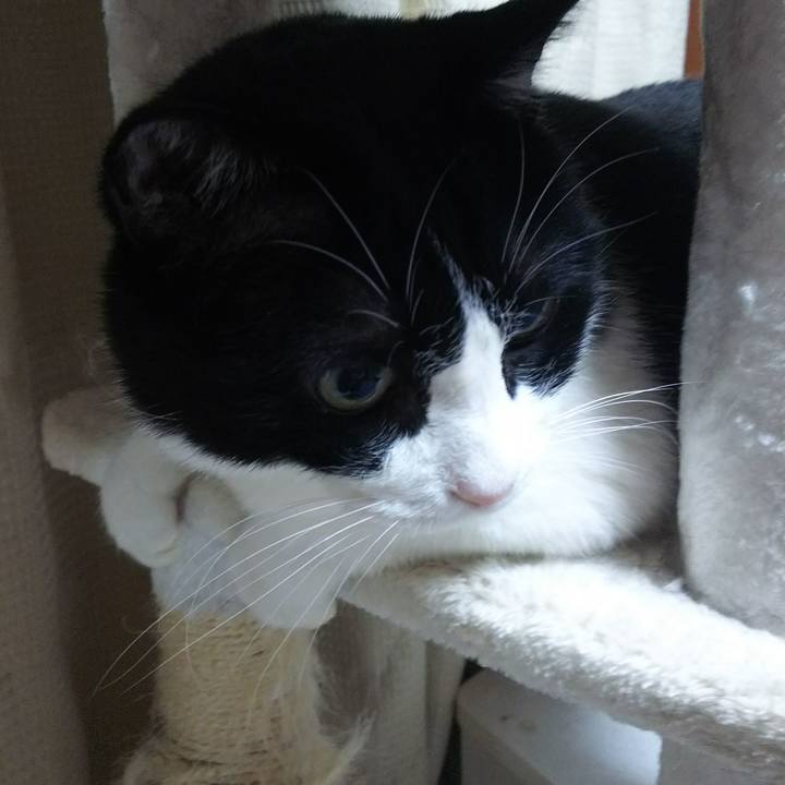 065ad844 5e3d 4952 93f1 b3fefb57c546 1534420501289