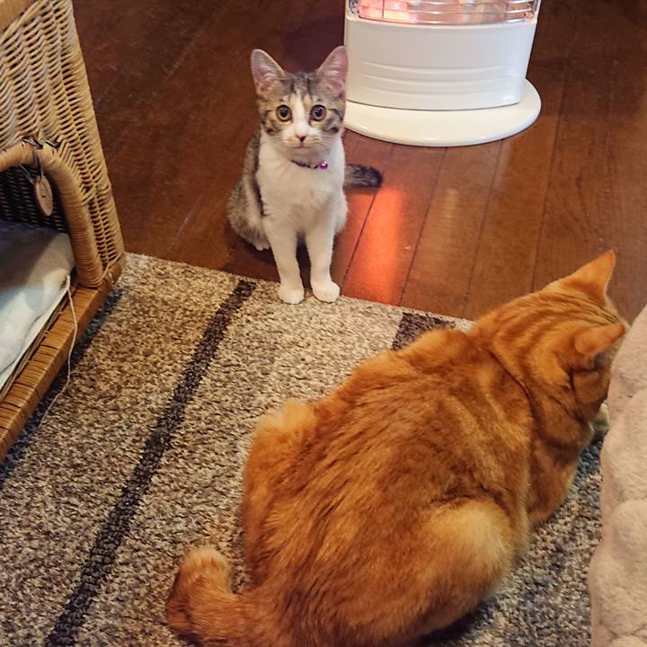 065adc0e fc50 4921 82b4 7b7d8b3b472f 1548677023682