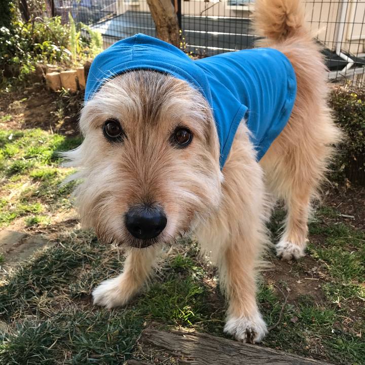 065b2400 d928 44eb a516 0cf2c3e6ecf3 1550446131724