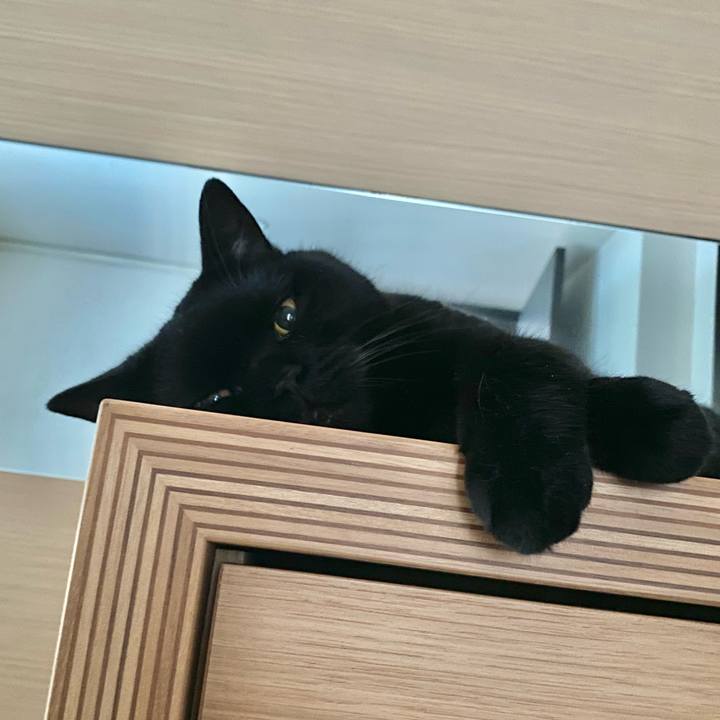 065b87d0 dd41 4a0b 8de1 5413ad75903e 1752200546892