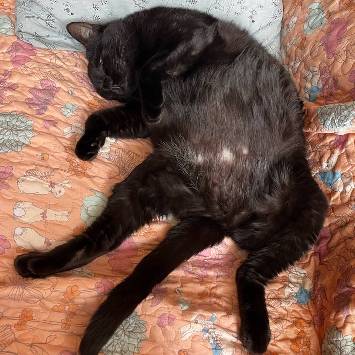 065ba60c bd2d 4b33 a7f2 02ed22d7131c 1717385867672