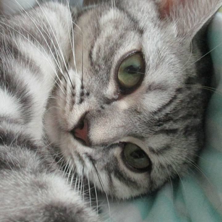 065bf585 36da 425f bf7e 499d9b800602 1561204249131