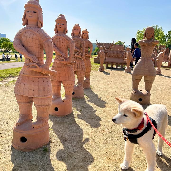 065c29d4 ef65 45ce b3a0 c1c3daef39d6 1746531014430