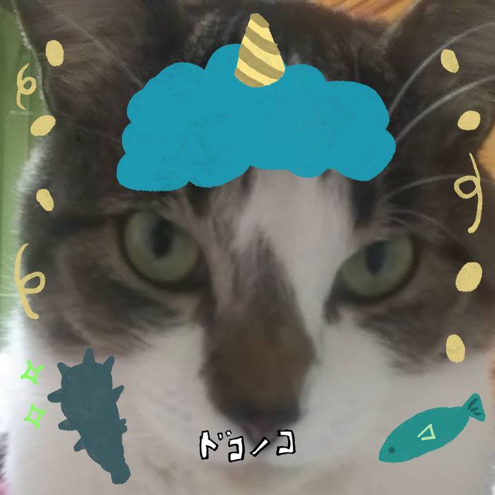 065c2ab6 937e 4152 b0e0 928d159aa4e6 1706945367047