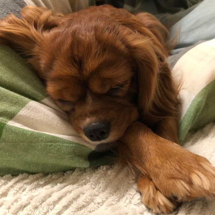 065cadcc 5c04 4a71 87d5 ac80b21d3f43 1550752116049