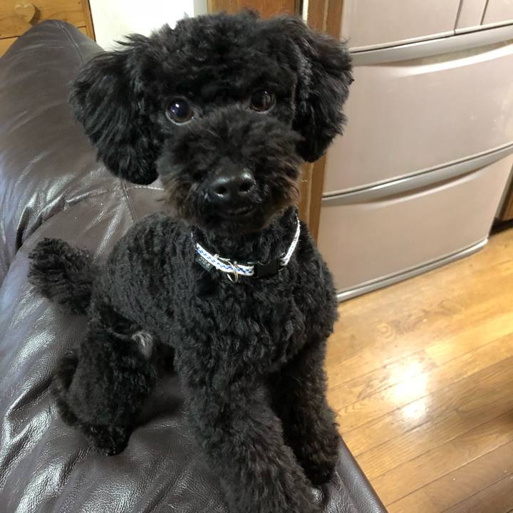 065ccbe1 162b 4d98 a3dc aa202fd2a9eb 1515928415079