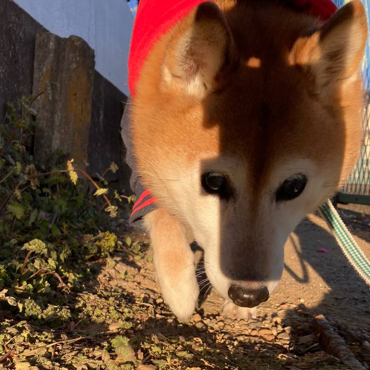 065cce6f efa9 48a2 b8e5 37916c98bfb7 1738138732985