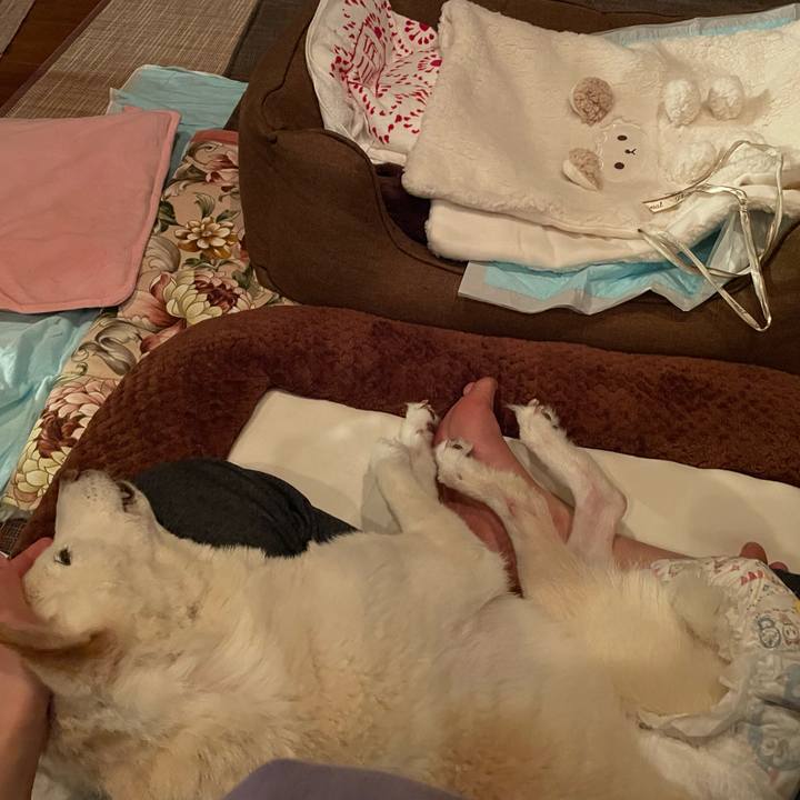 065cf2a6 ac2f 4efb 8671 7a4616aea3c8 1676549926824