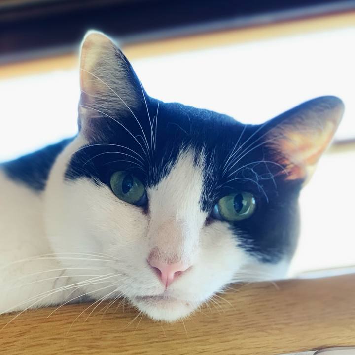 065d67f7 778f 4fae b0c6 133c6d5521b2 1599528234471