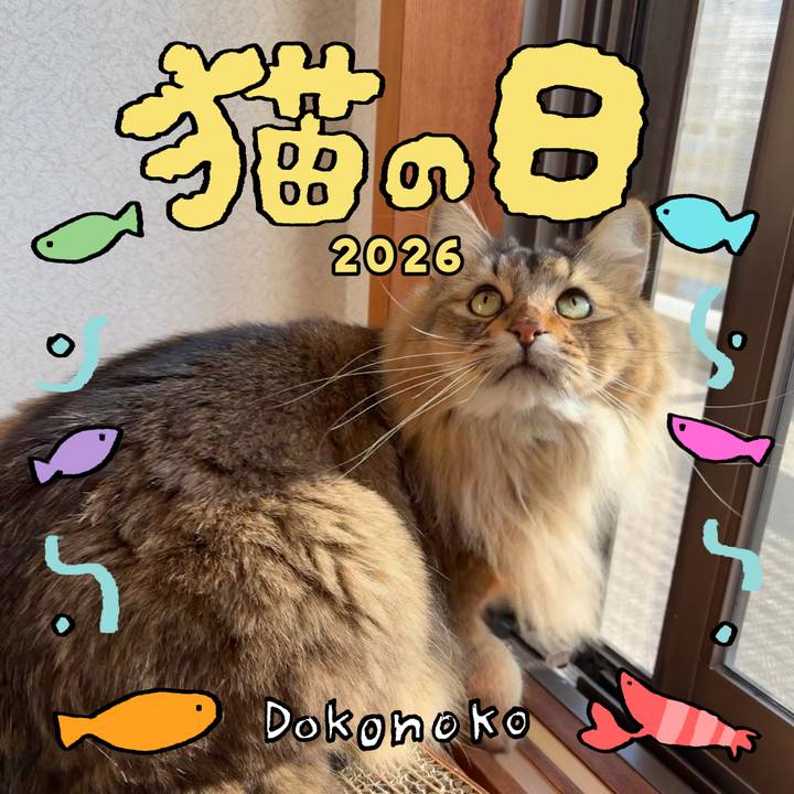 065d6a1d 98be 4b52 9596 7677c1f22a12 1771709253266