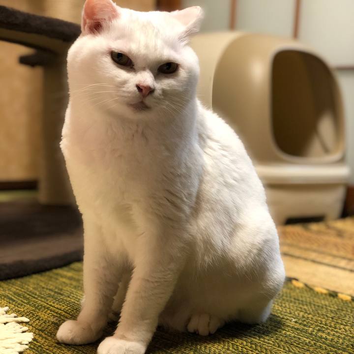 065d8bd2 4fbd 4910 b173 0f6439a0d514 1573471752190