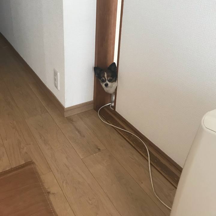 065da125 3261 4db5 bfcc 49e22a5638e4 1598847714344