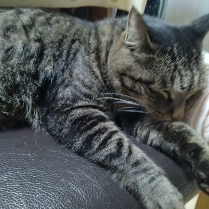 065da554 65b3 4bd1 ad3a 86f11a9b27d0 1694865635780