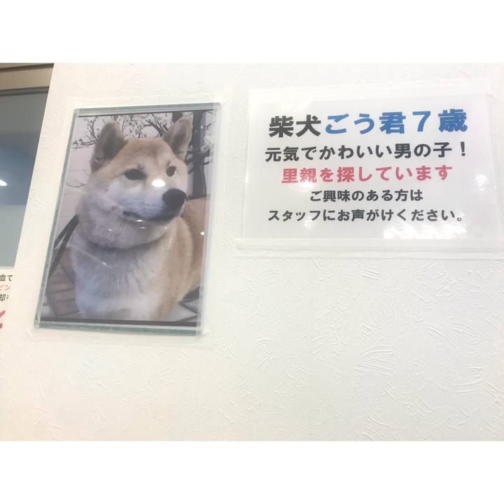 065dd3e6 8edd 4eaa 8715 df1f8e3d7db3 1620712120800