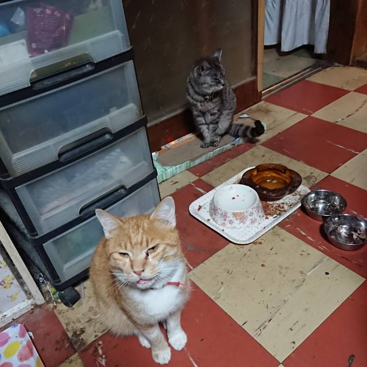 065e0870 b0b9 4d58 b871 947751c0f75a 1571907335181