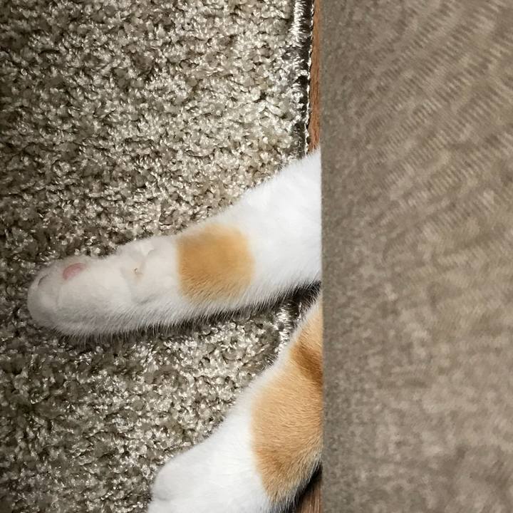 065e1fda ea88 41ed a548 c5389096b260 1510313799873