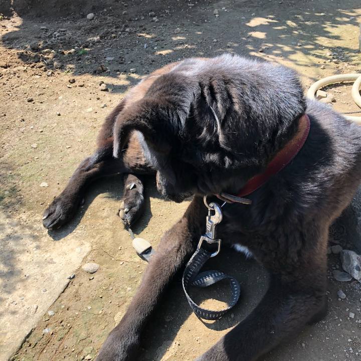 065e2e3f 4f74 4080 a16a 49a5dc41e8ce 1552447756132