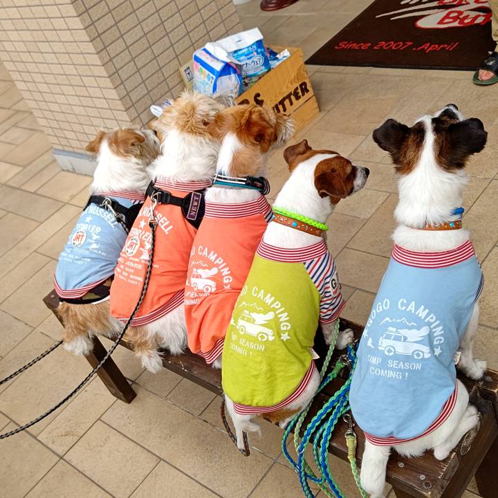 065e3e2f 2816 4145 a62d 2ec56991296c 1624356170008