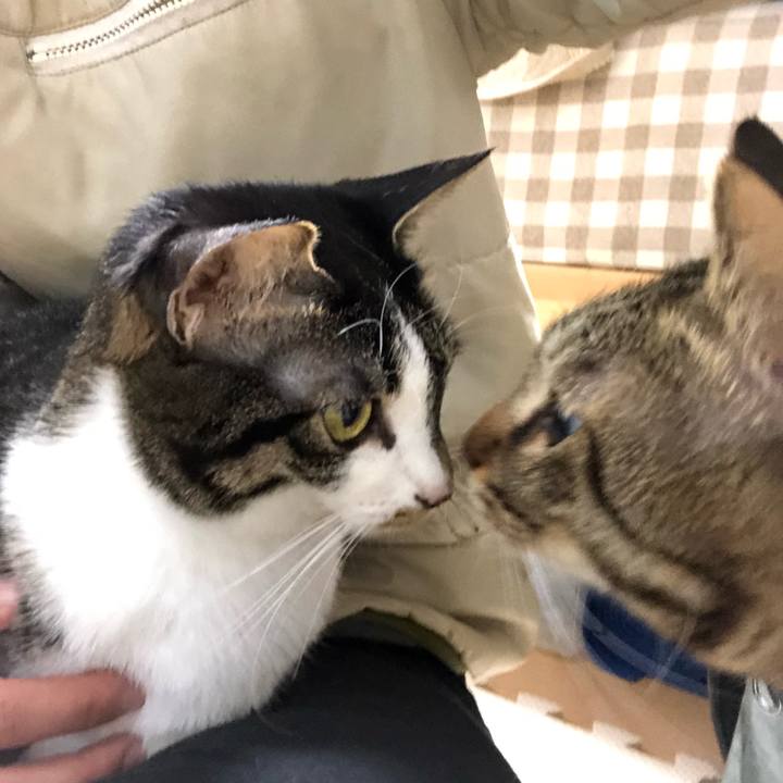 065e6a79 1cd4 47a6 8ccc 9ebb98aad5f0 1516694068953