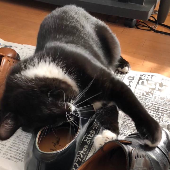 065e8543 3110 453f 82dd d47b3a8618f1 1525062028795