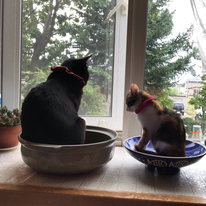 065e8f2f 22ef 496f b42e da2a119af444 1599602086637