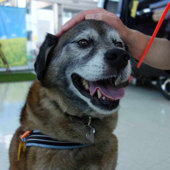 065ed75a 5737 45fb 81da c27e9edbad59 1557573909701