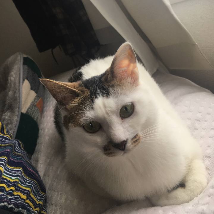 065ef220 e7be 4e98 b987 1061f271e759 1527856705122