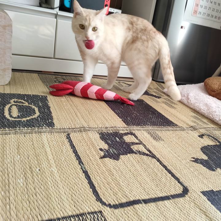 065f0245 dc90 456f 9535 c5f4de1422b2 1663113993720