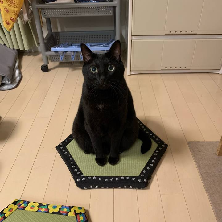 065f3095 6b0e 448b 9d37 139a08ebfbc7 1731423649075