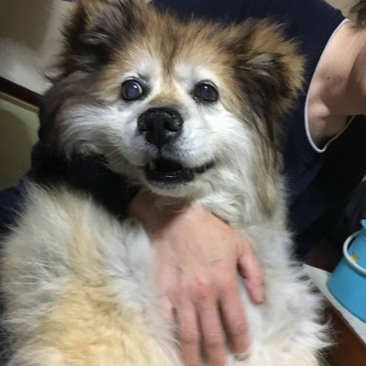 065f6c8f 0052 42fd 9a43 b43dbb41dd01 1633924243885