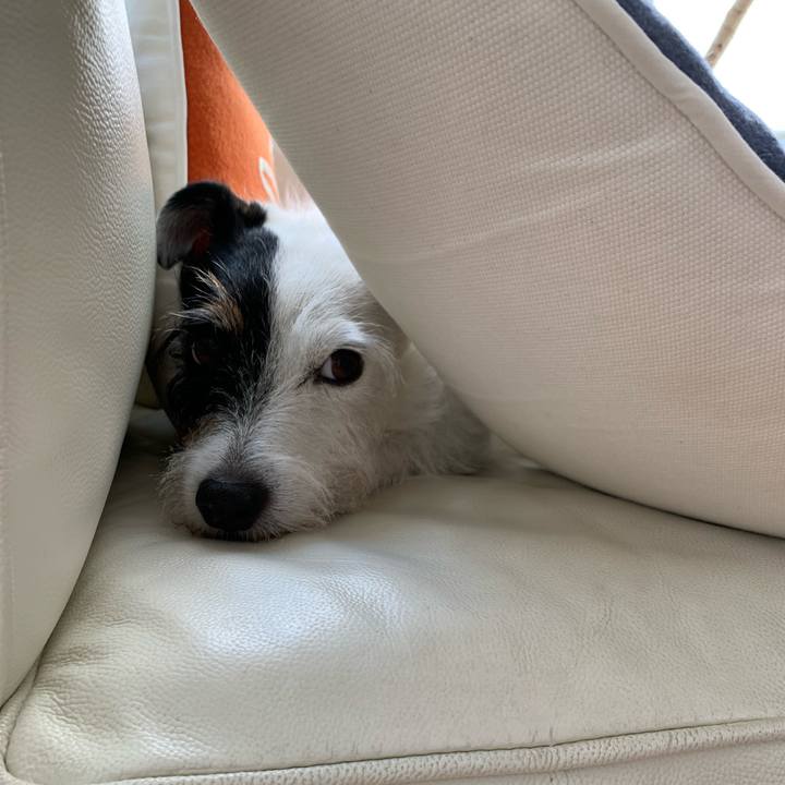 065f7d10 e311 4002 b6bb 2a26f1c3ff28 1727314796741