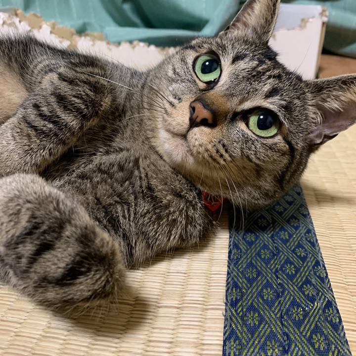 065f9e54 55b4 4760 a477 680c7135e845 1556266942520