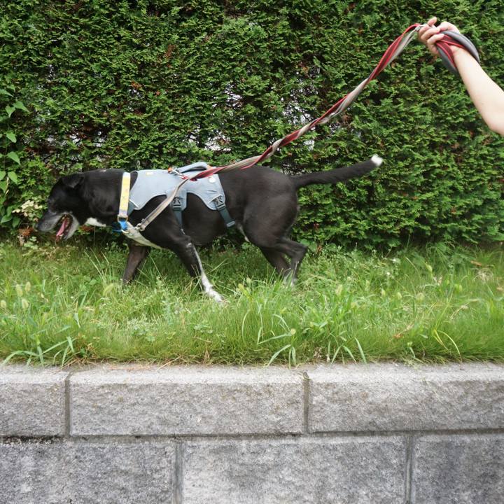 065fec0d e5d4 4f1b bcc9 0f9258dbf794 1755302533793