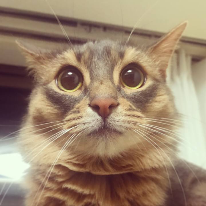 066002e7 1e37 411f 9f00 c956a2deb0e0 1515382509529