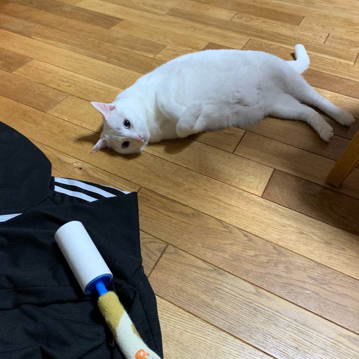 06603695 ec40 4a35 88da 8c6ff300f04f 1592314533973