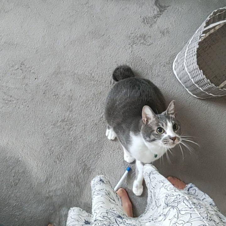 06608559 b782 43cf 9bfe f04193ce5b17 1658873793996