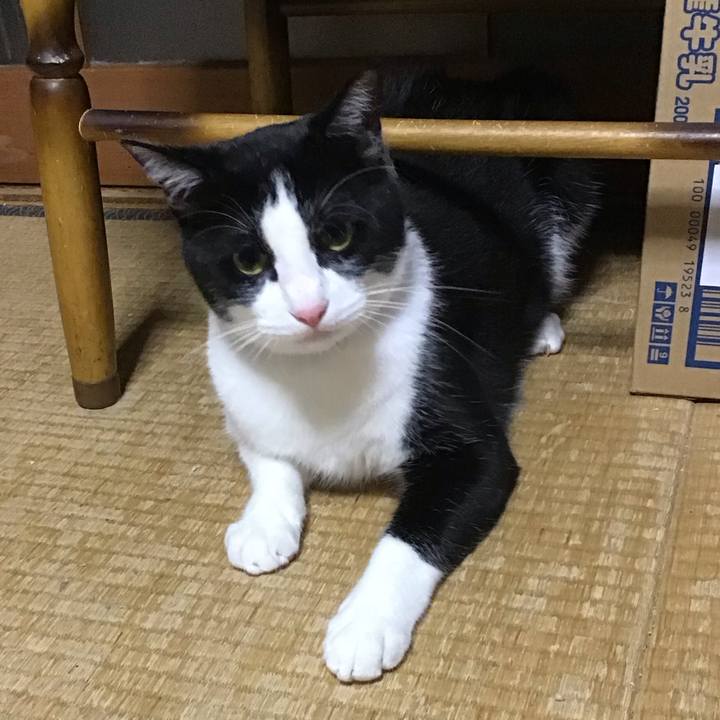 0661046b cadc 40d1 9d2e baabc0340227 1687439214036