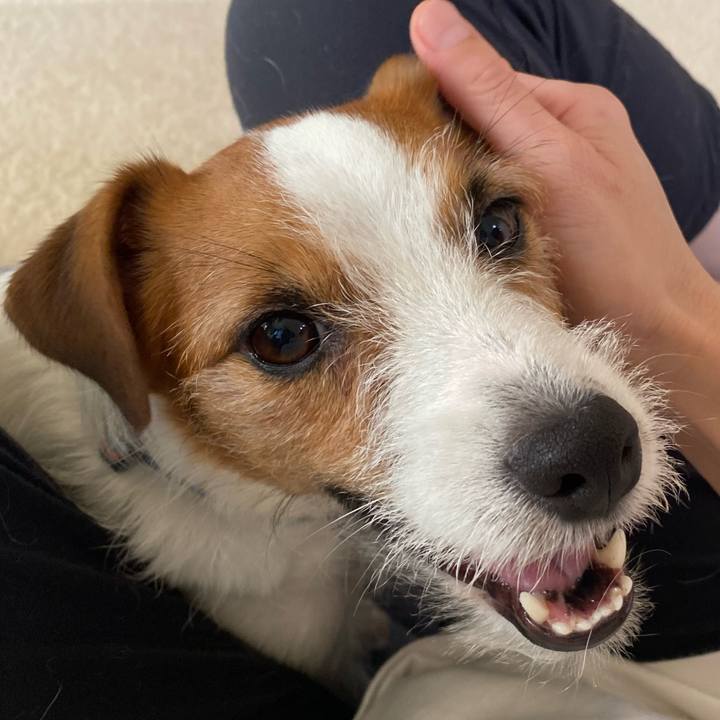 06610f15 df5b 44ea a4a5 3a1c106b7ac0 1757282886066