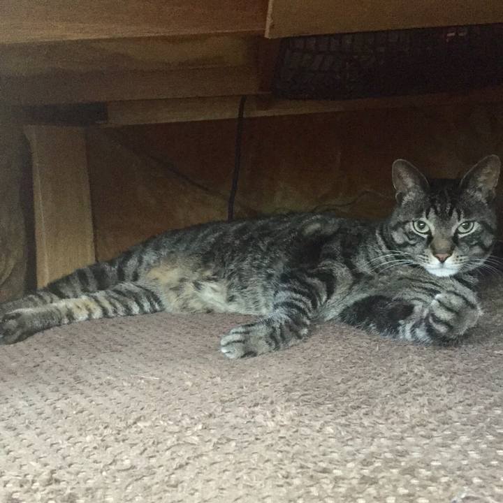 066137c9 dc49 4eaa a9e5 2283a1bf219a 1518918930523