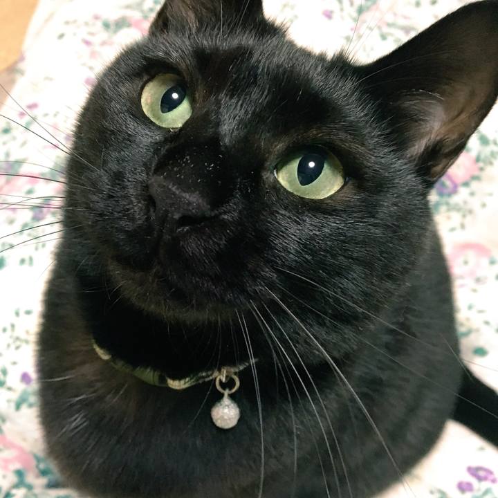 06614a4f 5bf1 4e80 b520 afc47483e72e 1543648909446