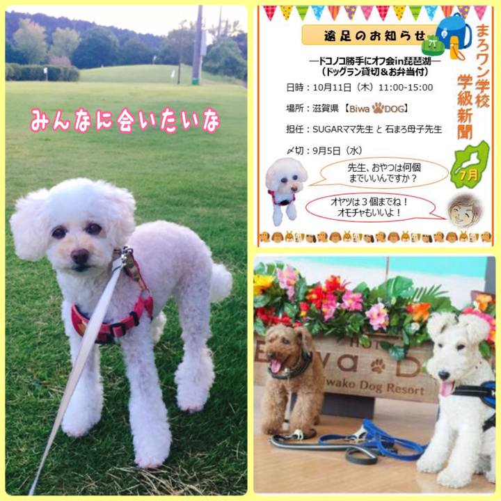 066165d0 eefb 42d2 8c5d 20e779987696 1535426788376