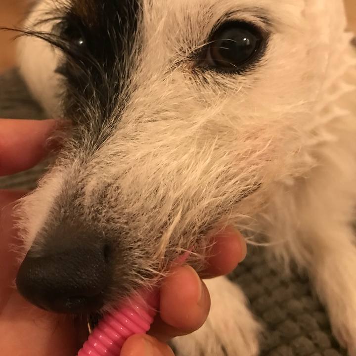 06616efd 5f31 4fa0 ac1b 5dfaacfa7f33 1527508567933