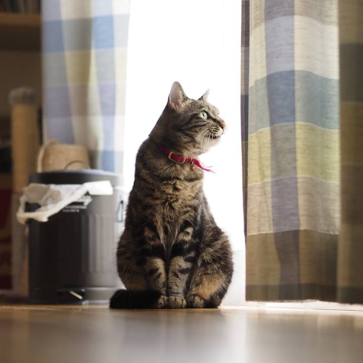 066170c3 af0d 4618 a083 37f6215fc3ea 1628311855566